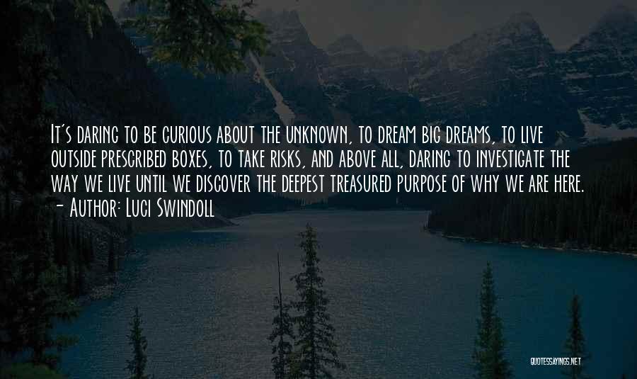 Big Dreams Quotes By Luci Swindoll