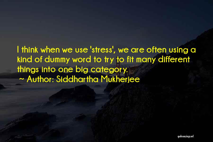 Big Dummy Quotes By Siddhartha Mukherjee