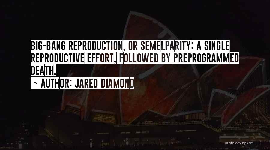 Big Effort Quotes By Jared Diamond