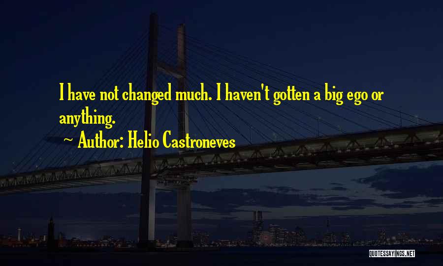 Big Ego Quotes By Helio Castroneves