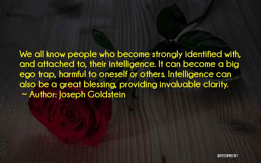 Big Ego Quotes By Joseph Goldstein