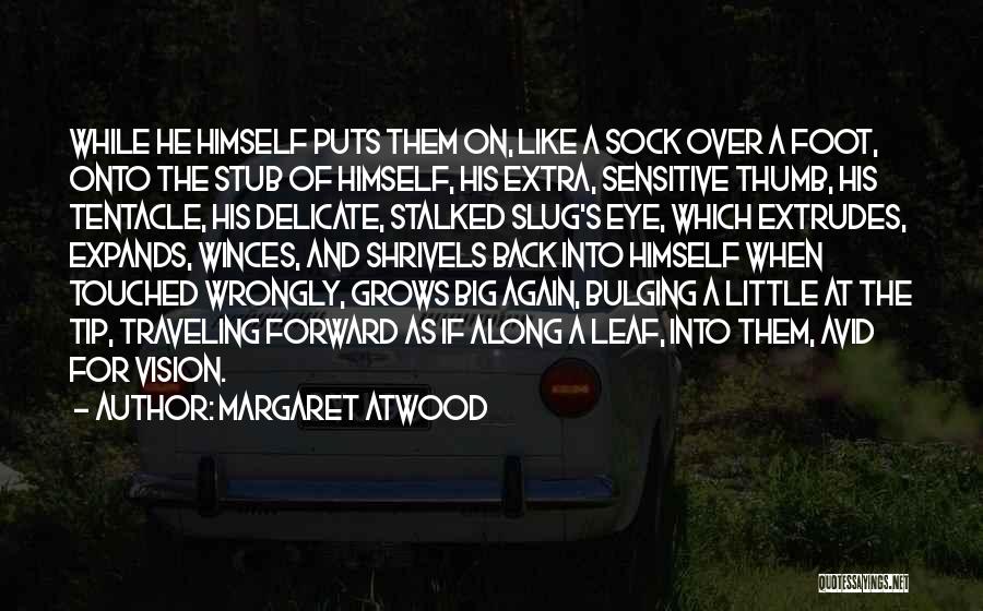 Big Eye Quotes By Margaret Atwood