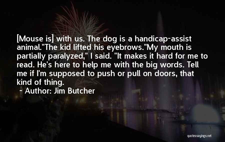 Big Eyebrows Quotes By Jim Butcher