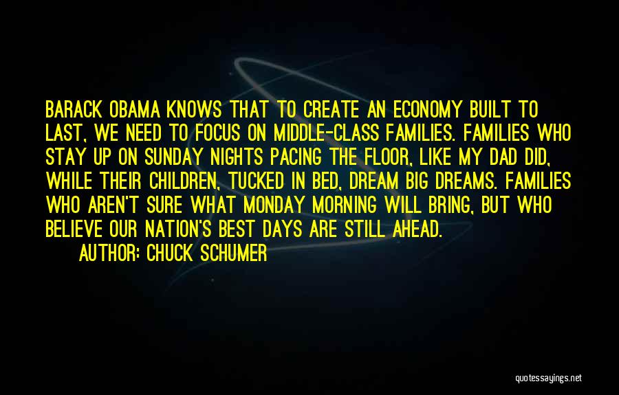 Big Families Quotes By Chuck Schumer
