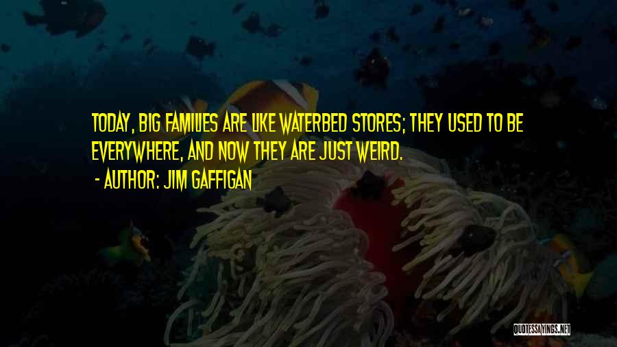 Big Families Quotes By Jim Gaffigan