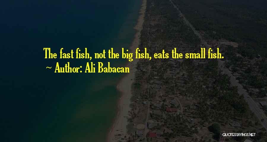 Big Fish Small Fish Quotes By Ali Babacan