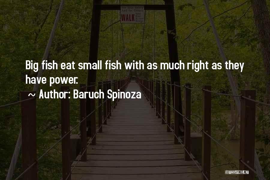 Big Fish Small Fish Quotes By Baruch Spinoza