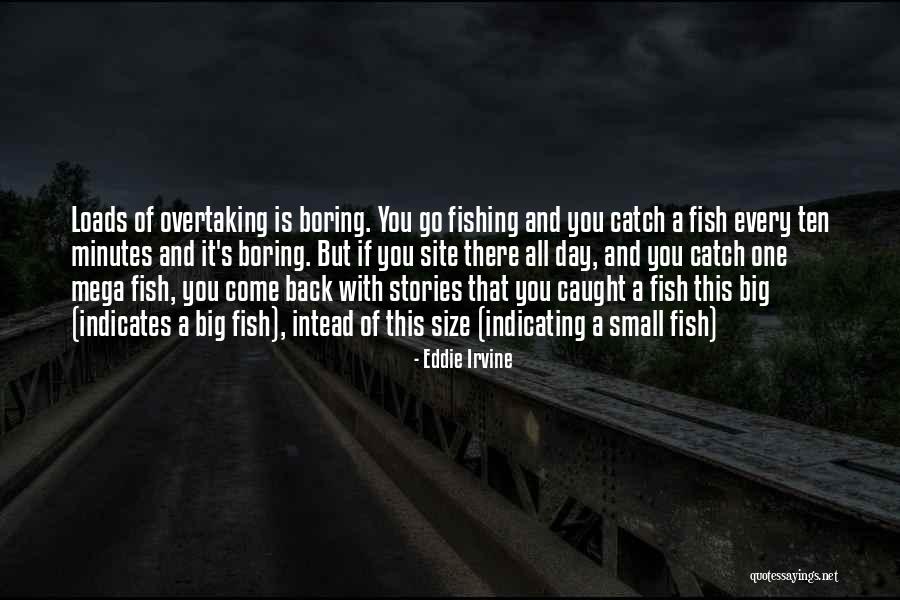 Big Fish Small Fish Quotes By Eddie Irvine