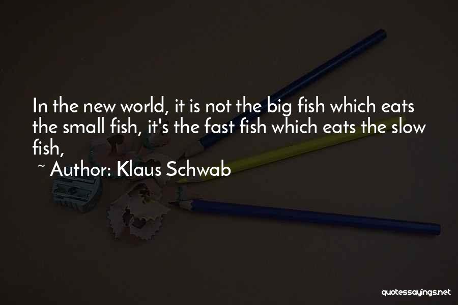 Big Fish Small Fish Quotes By Klaus Schwab