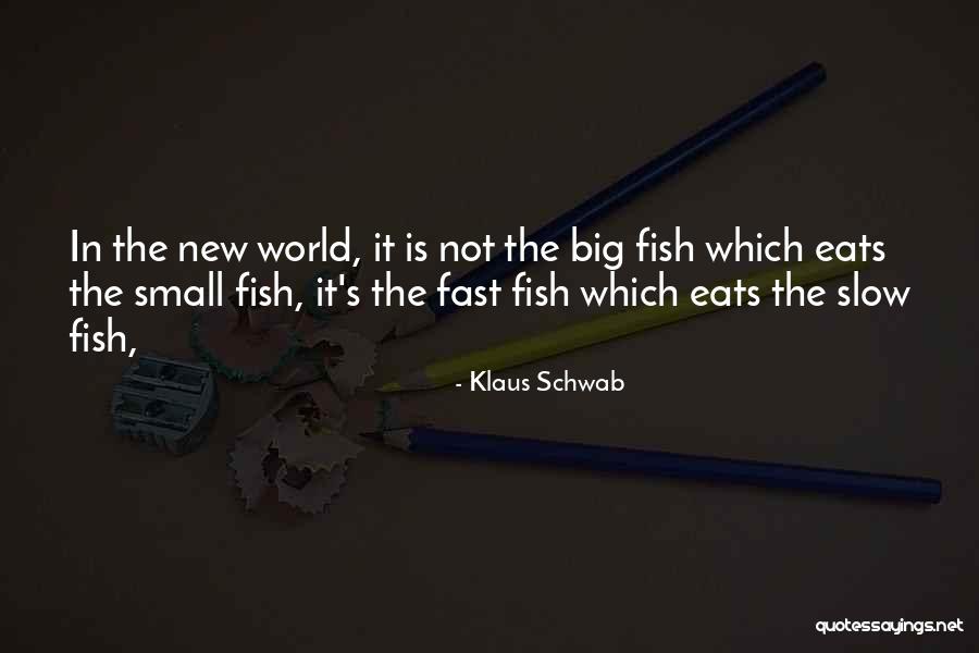 Big Fish Small Fish Quotes By Klaus Schwab