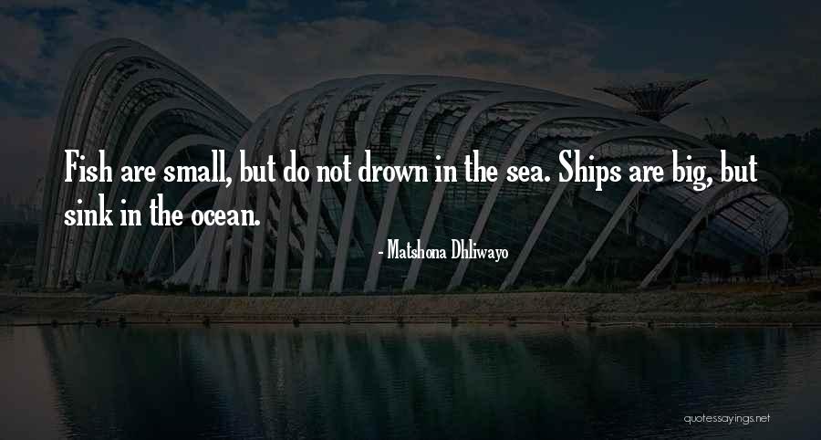 Big Fish Small Fish Quotes By Matshona Dhliwayo