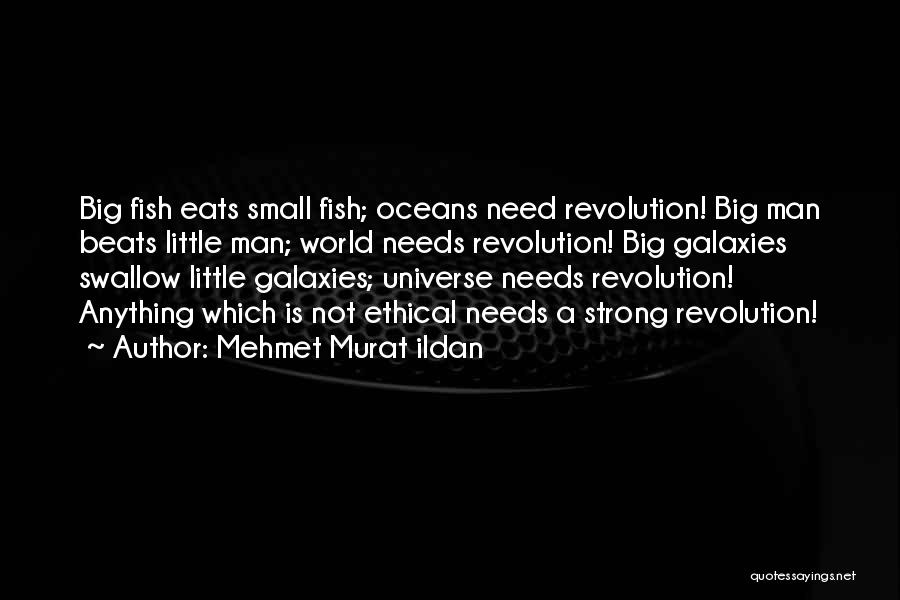 Big Fish Small Fish Quotes By Mehmet Murat Ildan