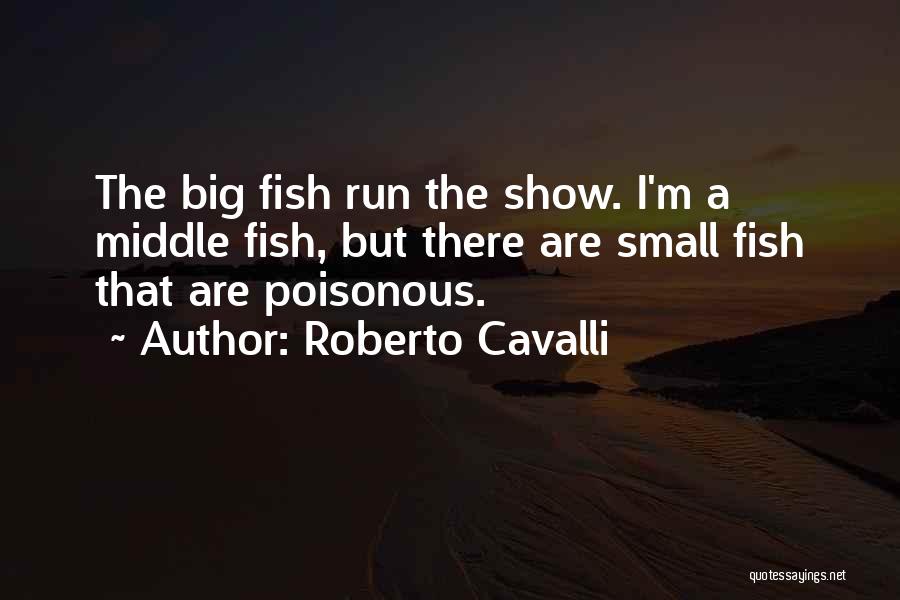 Big Fish Small Fish Quotes By Roberto Cavalli