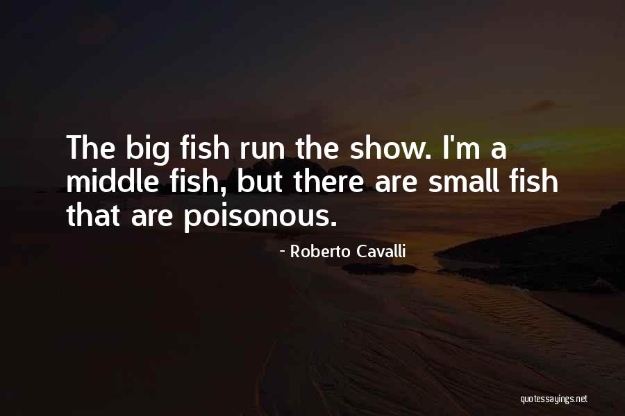 Big Fish Small Fish Quotes By Roberto Cavalli