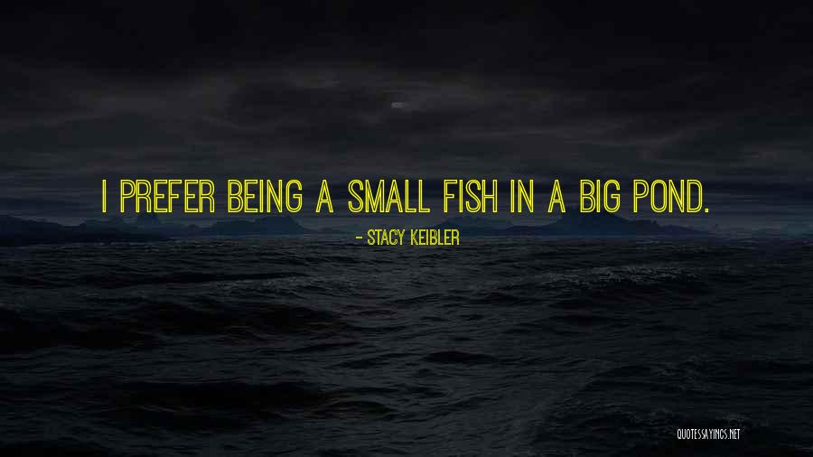 Big Fish Small Fish Quotes By Stacy Keibler Big Fish Small Fish Quotes By Stacy Keibler