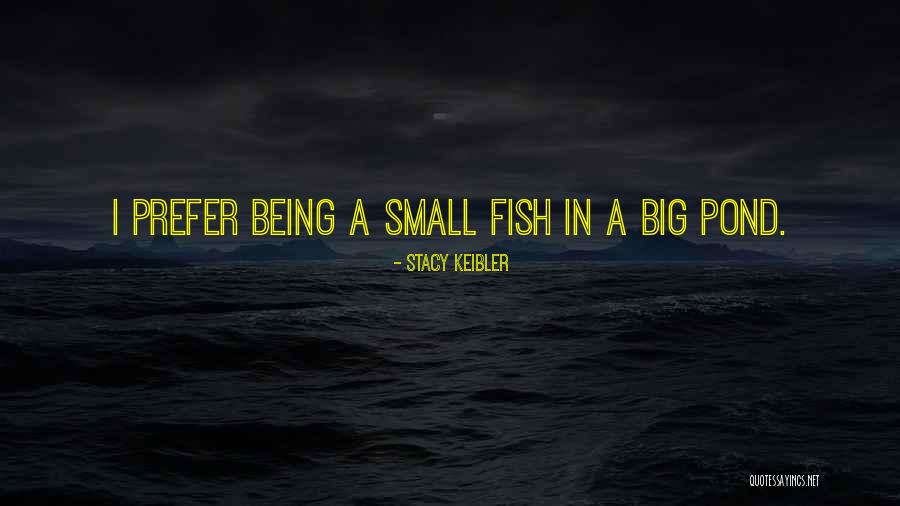 Big Fish Small Fish Quotes By Stacy Keibler