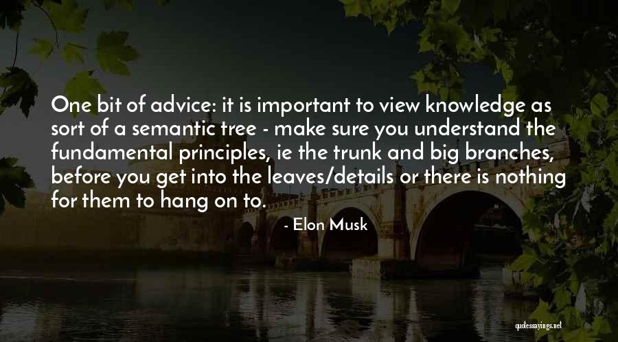 Big Fundamental Quotes By Elon Musk Big Fundamental Quotes By Elon Musk