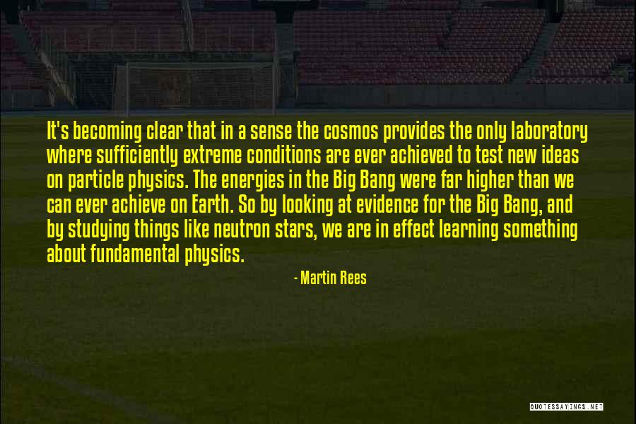 Big Fundamental Quotes By Martin Rees Big Fundamental Quotes By Martin Rees