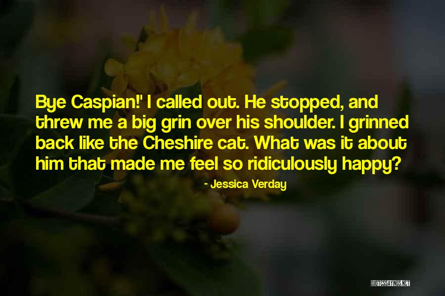 Big Grin Quotes By Jessica Verday