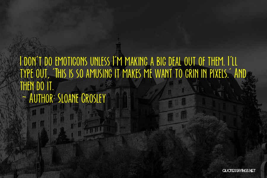 Big Grin Quotes By Sloane Crosley
