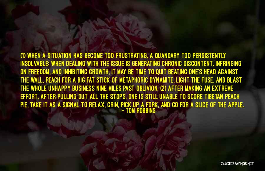 Big Grin Quotes By Tom Robbins Big Grin Quotes By Tom Robbins