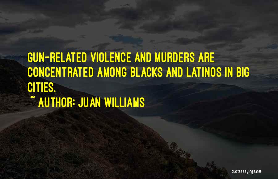 Big Gun Quotes By Juan Williams