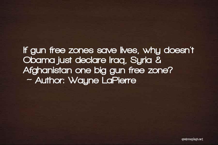 Big Gun Quotes By Wayne LaPierre