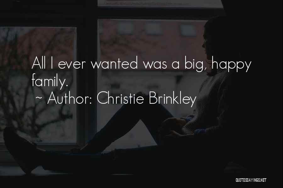 Big Happy Family Quotes By Christie Brinkley