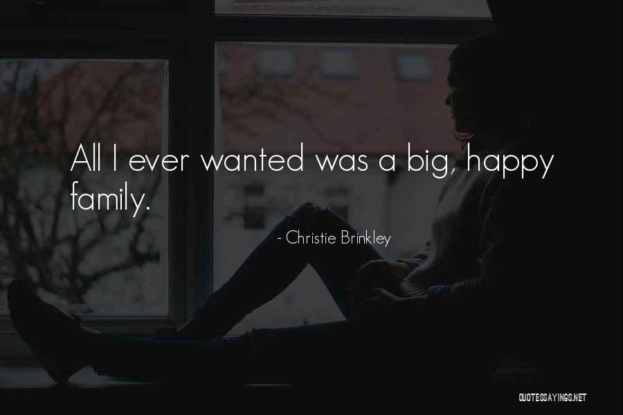 Big Happy Family Quotes By Christie Brinkley