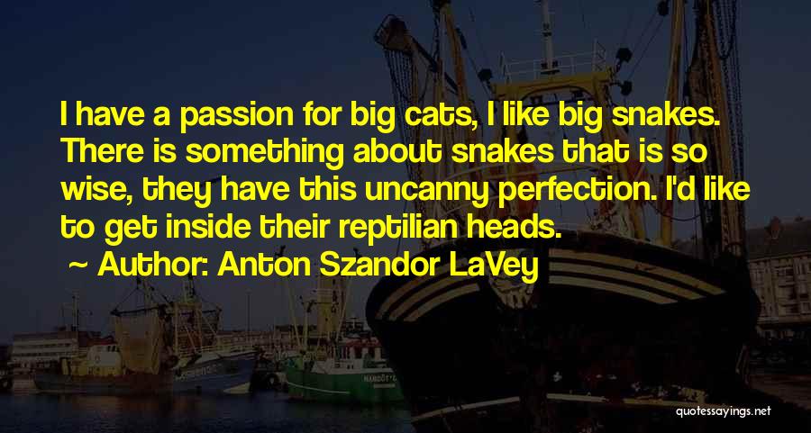 Big Heads Quotes By Anton Szandor LaVey