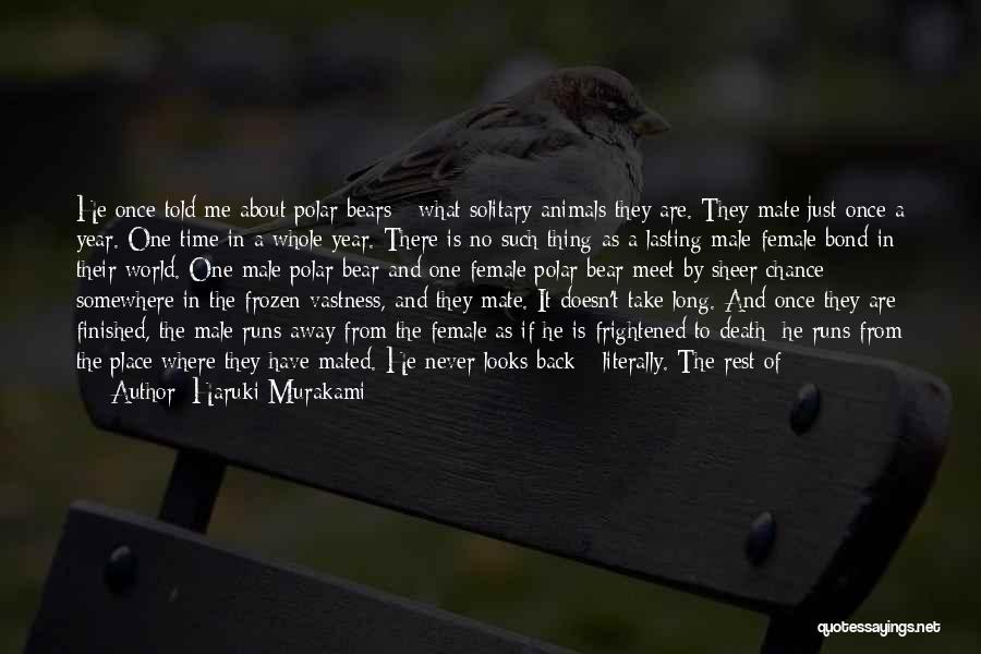 Big Hearts Quotes By Haruki Murakami