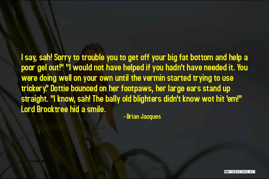 Big Hit Quotes By Brian Jacques Big Hit Quotes By Brian Jacques
