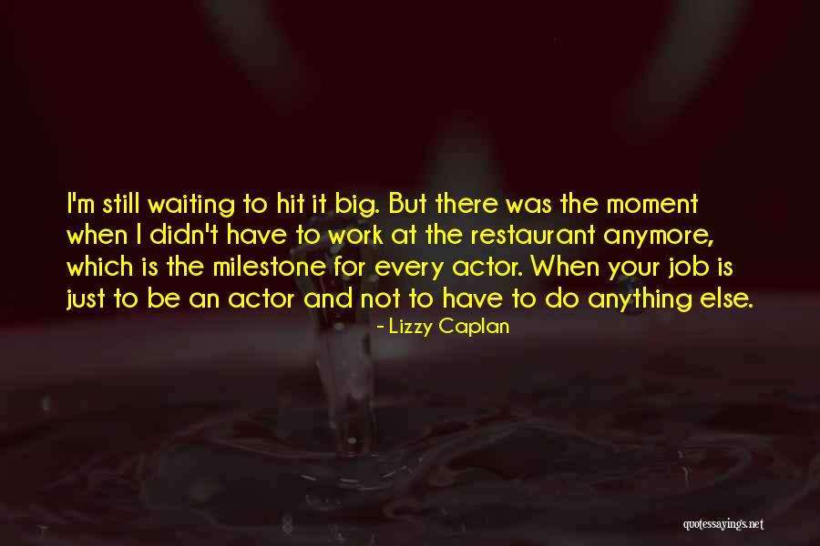 Big Hit Quotes By Lizzy Caplan