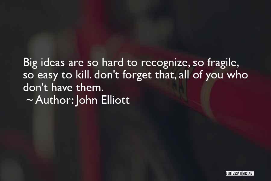 Big Ideas Quotes By John Elliott