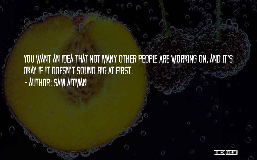 Big Ideas Quotes By Sam Altman