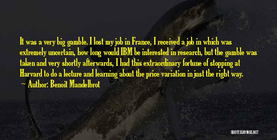 Big Jobs Quotes By Benoit Mandelbrot