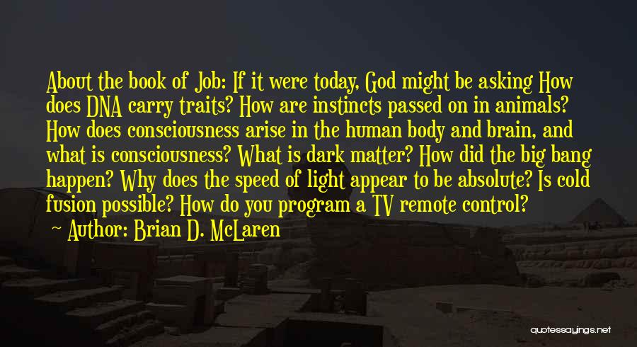 Big Jobs Quotes By Brian D. McLaren