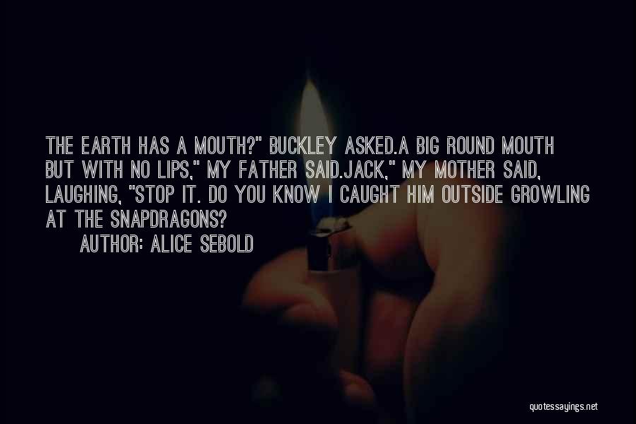 Big Lips Quotes By Alice Sebold