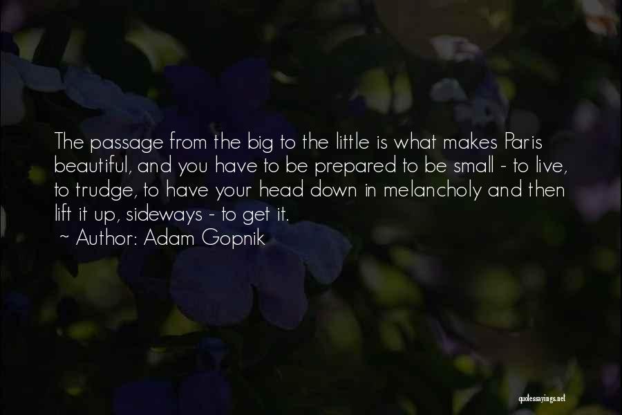 Big Little Quotes By Adam Gopnik