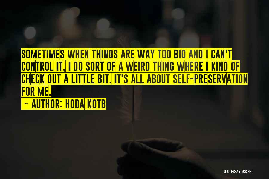 Big Little Quotes By Hoda Kotb