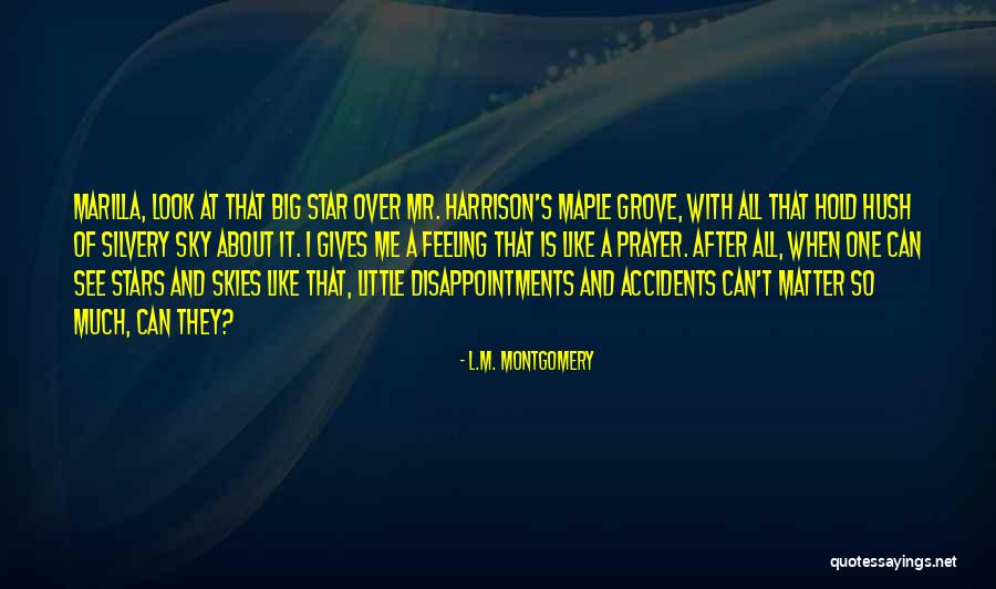 Big Little Star Quotes By L.M. Montgomery Big Little Star Quotes By L.M. Montgomery