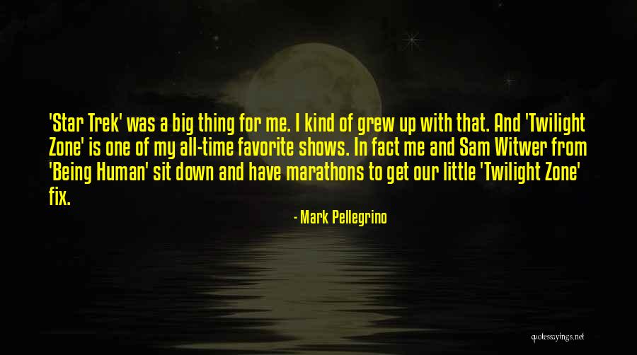 Big Little Star Quotes By Mark Pellegrino