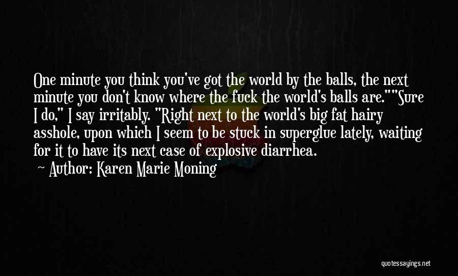 Big Mac Quotes By Karen Marie Moning