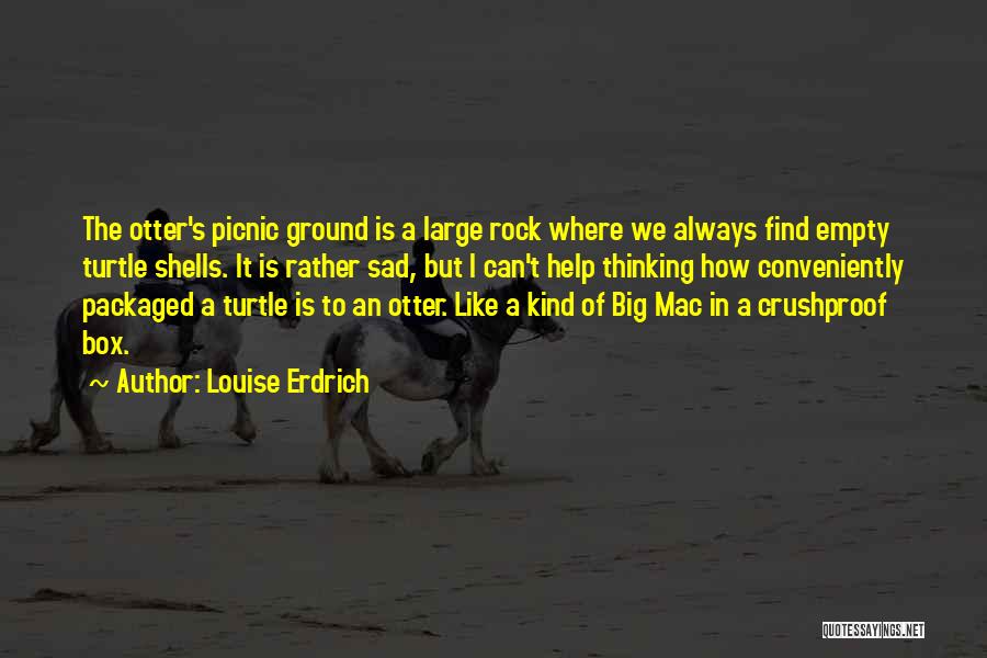 Big Mac Quotes By Louise Erdrich