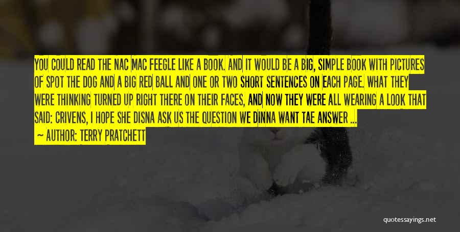 Big Mac Quotes By Terry Pratchett