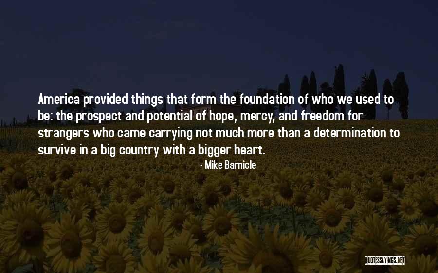 Big Mike Quotes By Mike Barnicle Big Mike Quotes By Mike Barnicle
