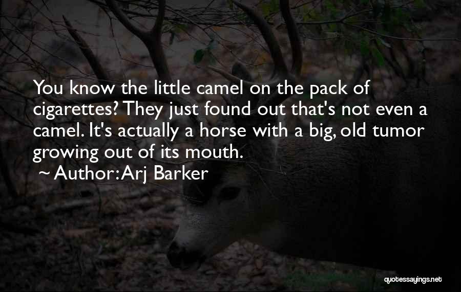 Big Mouth Quotes By Arj Barker