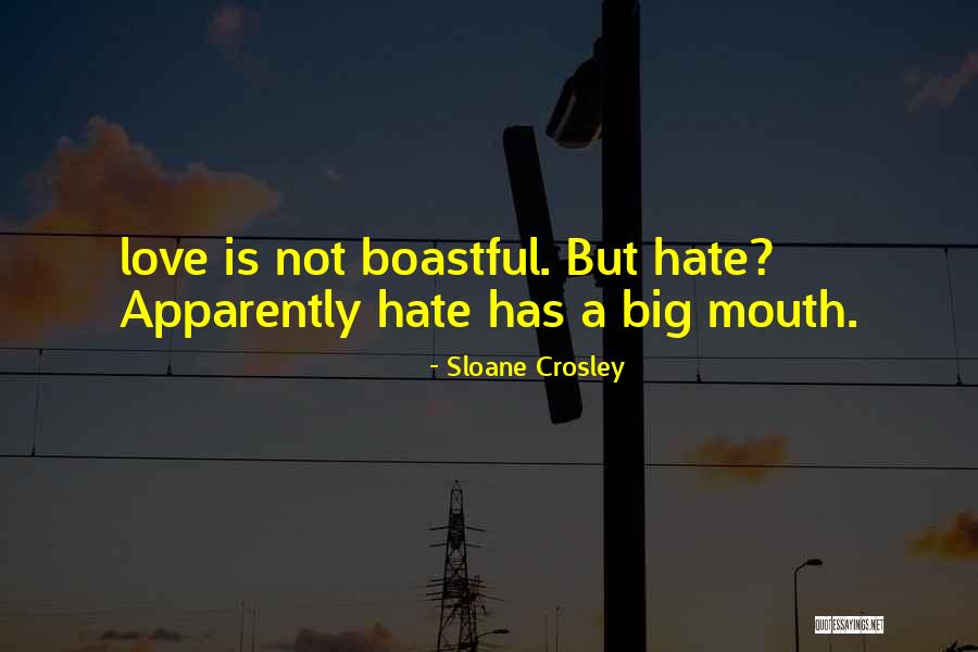 Big Mouth Quotes By Sloane Crosley