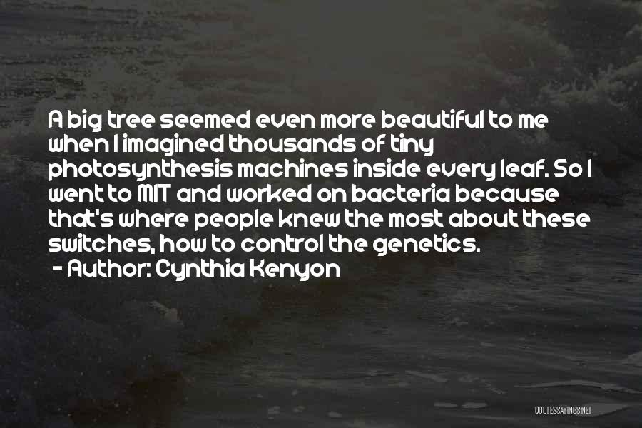 Big N Beautiful Quotes By Cynthia Kenyon