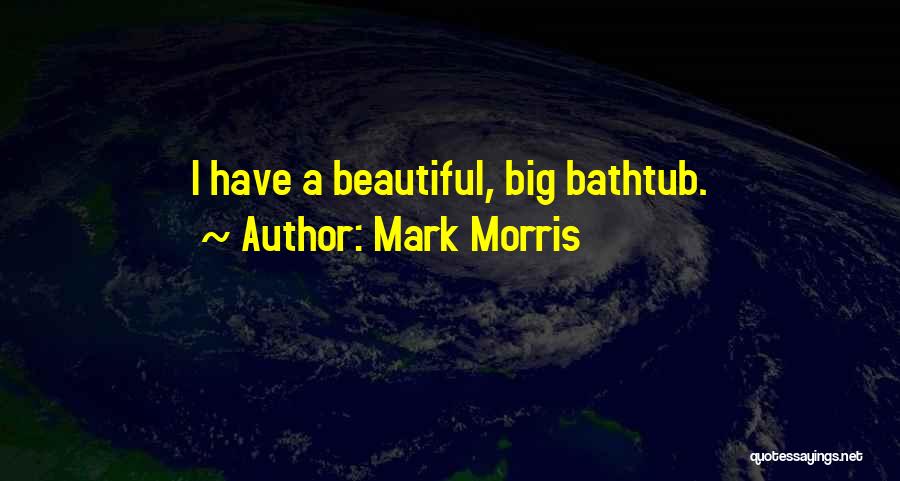 Big N Beautiful Quotes By Mark Morris